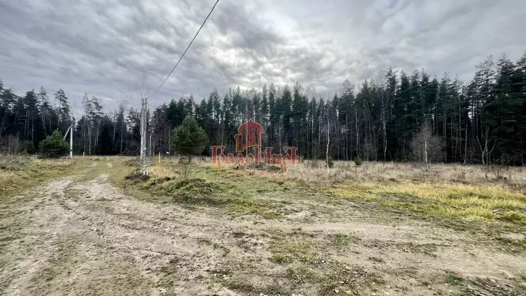 Участок в Владимирская область, Александровский муниципальный округ, ... - Фото 2