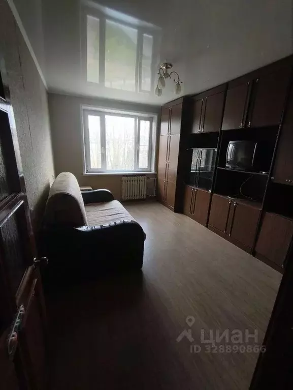 1-к кв. Московская область, Ногинск Богородский городской округ, ул. ... - Фото 2