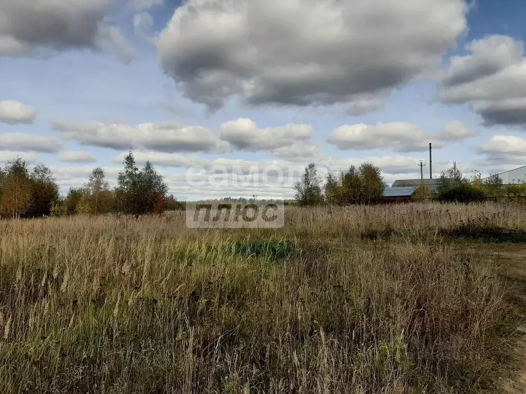 Участок в Владимирская область, Александровский район, Андреевское ... - Фото 0