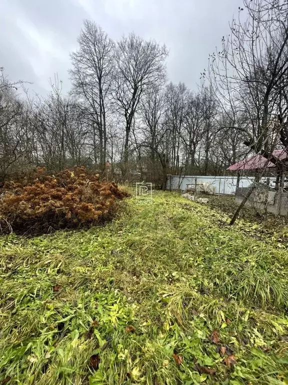 Участок в Калужская область, Калуга городской округ, с. Некрасово  ... - Фото 0
