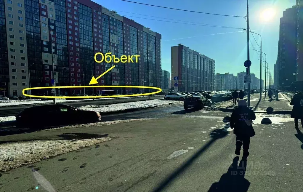 Помещение свободного назначения в Ленинградская область, Мурино ... - Фото 1