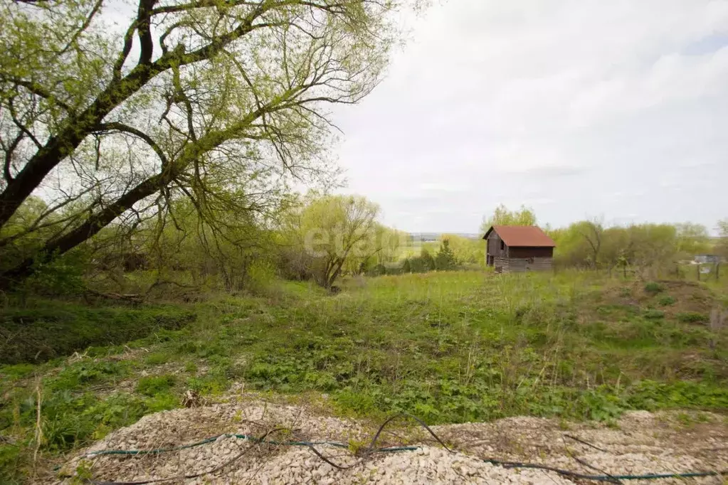 Участок в Калужская область, Калуга городской округ, д. Желыбино ул. ... - Фото 2