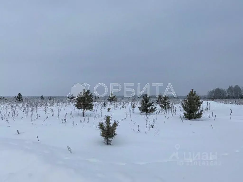 Участок в Тюменская область, Тюменский район, д. Елань 14 (7.0 сот.) - Фото 1