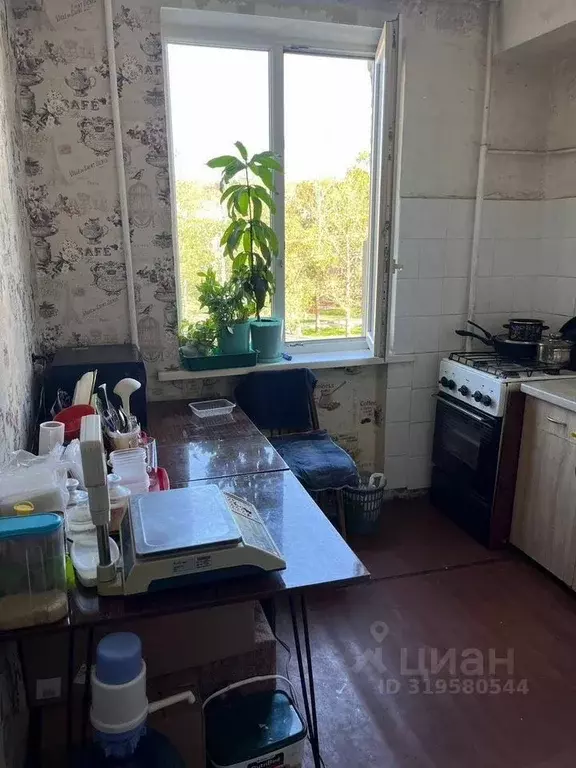 1-к кв. Севастополь просп. Генерала Острякова, 80 (30.7 м) - Фото 0