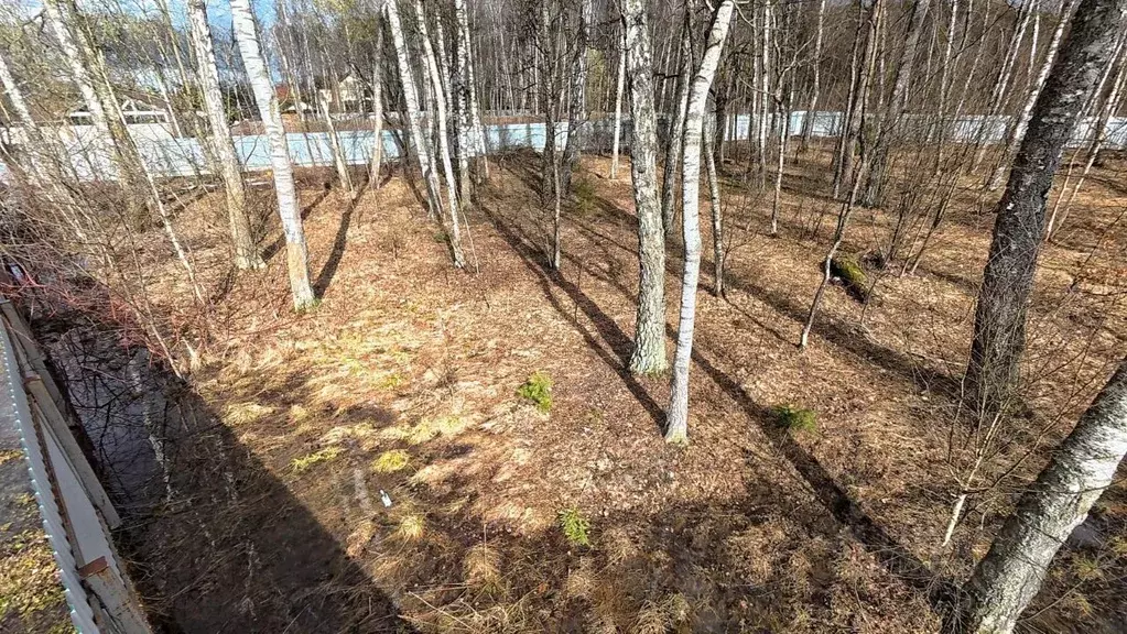 Участок в Московская область, Чехов муниципальный округ, д. Васькино, ... - Фото 2