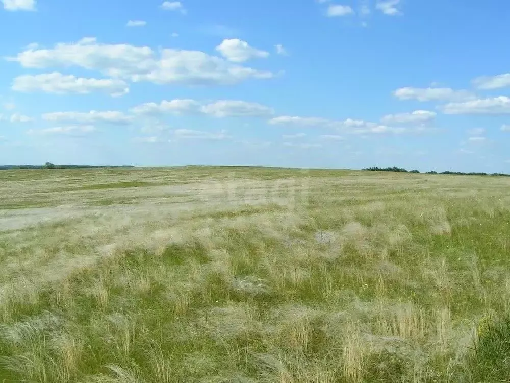 Участок в Калмыкия, Элиста ул. Ангарская (6.0 сот.) - Фото 2