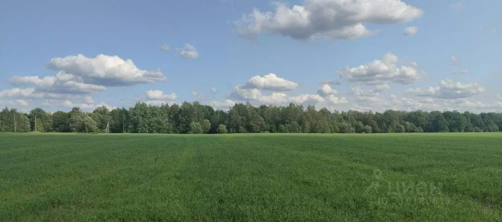 Участок, 746 сот., фермерское хоз-во - Фото 0