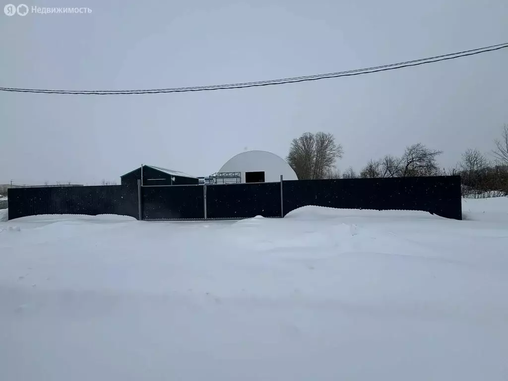 Склад (290 м) - Фото 2