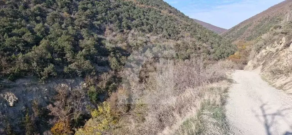 Участок в Краснодарский край, Новороссийск городской округ, Дюрсо хут. ... - Фото 1