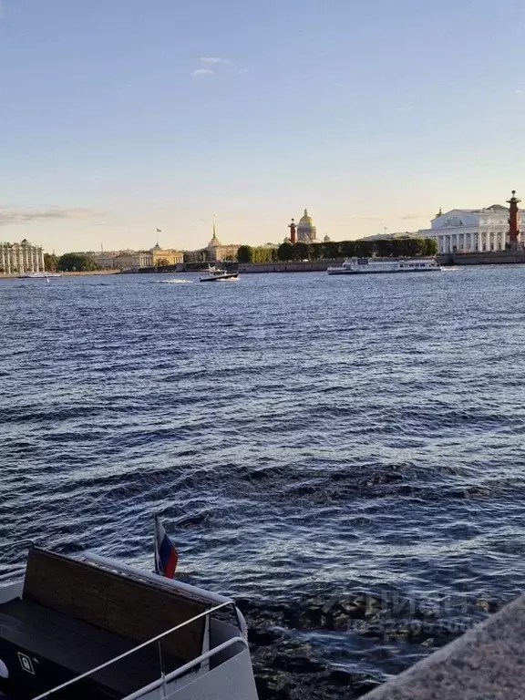 2-к кв. Санкт-Петербург просп. Добролюбова, 2 (56.0 м) - Фото 2