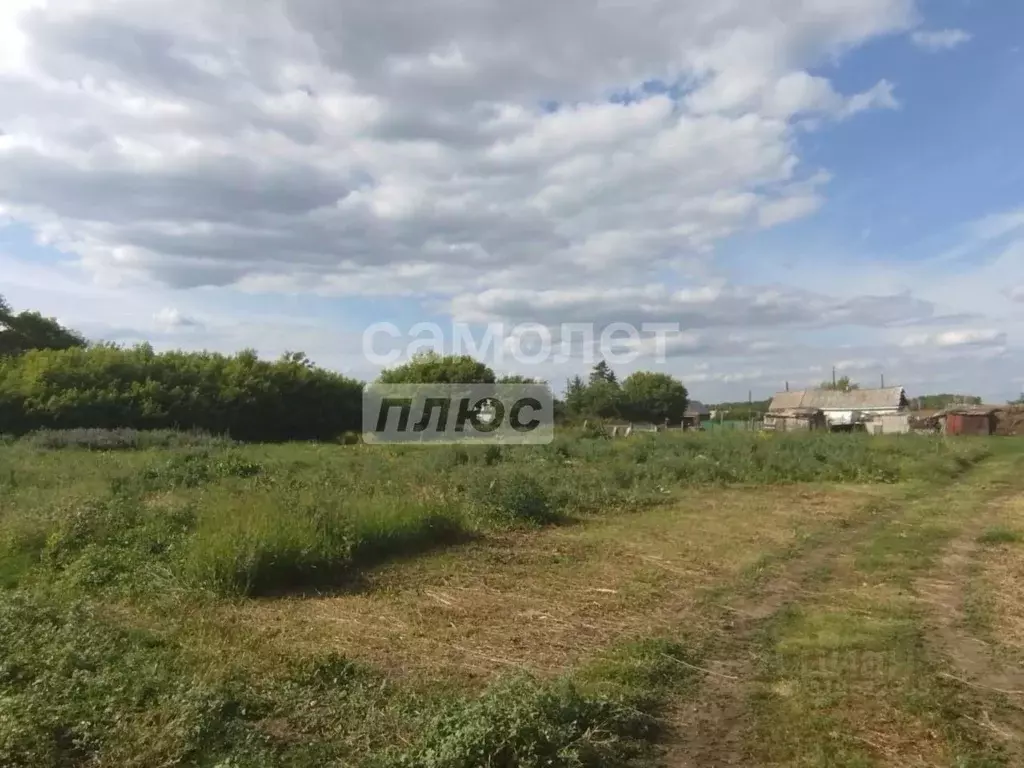 Участок в Омская область, Азовский Немецкий Национальный район, д. ... - Фото 1