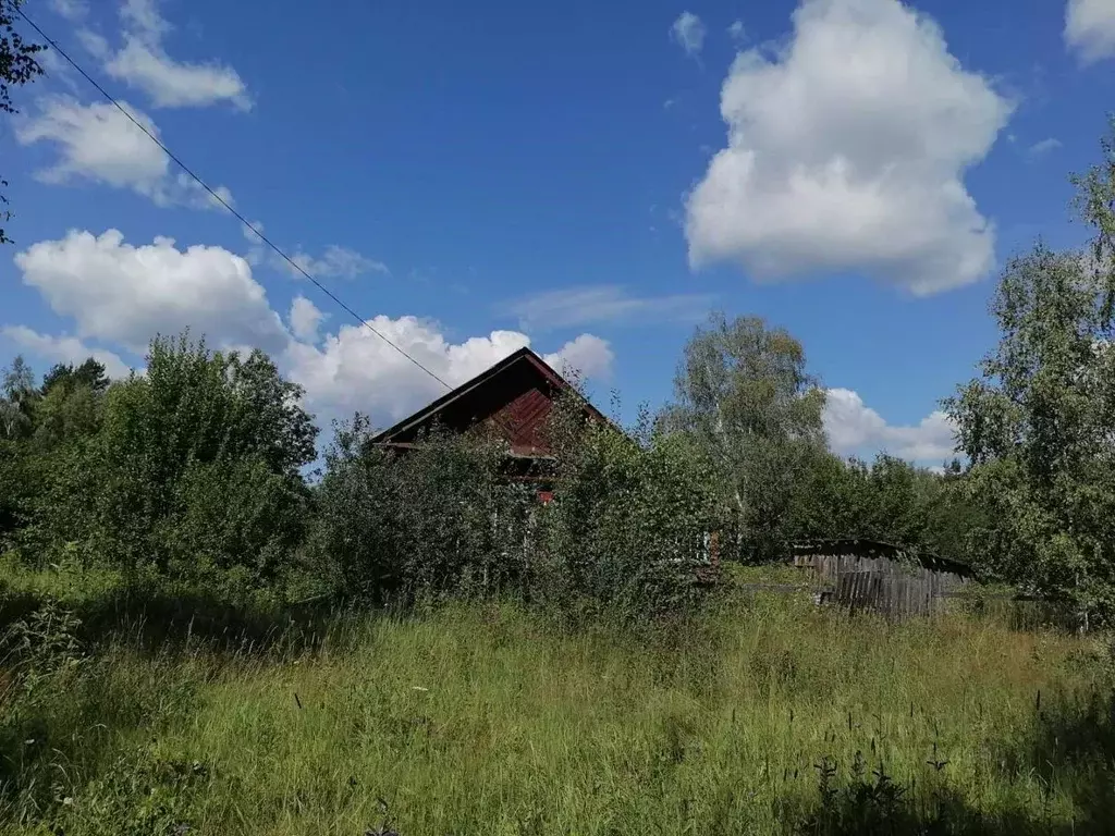 Участок в Владимирская область, Судогодский район, Мошокское ... - Фото 1