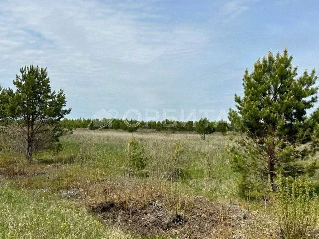 Участок в Тюменская область, Тюменский район, с. Горьковка Сибирская ... - Фото 1