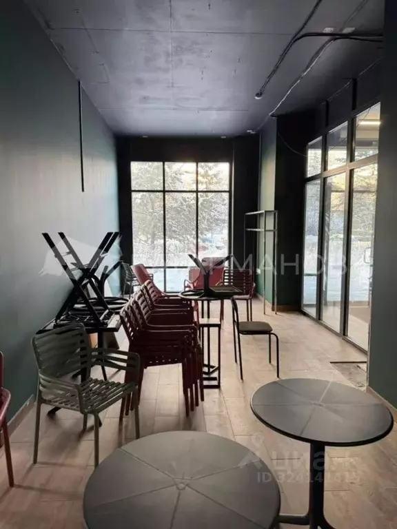 Помещение свободного назначения в Новосибирская область, Новосибирск ... - Фото 1