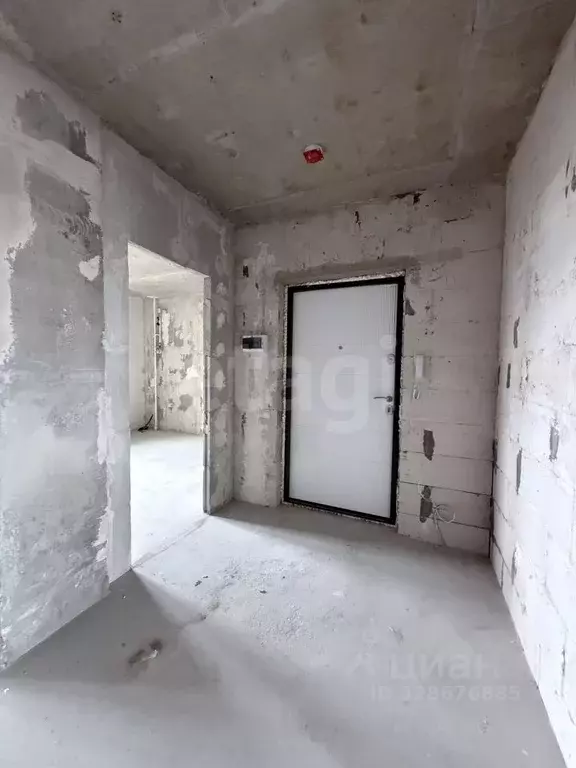 2-к кв. Псковская область, Псковский район, Завеличенская волость, д. ... - Фото 2