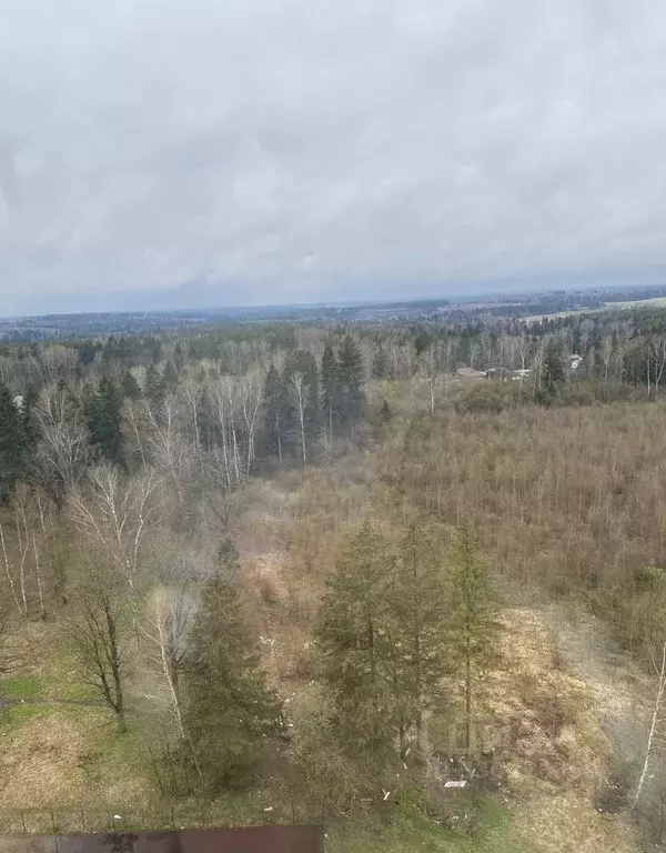 2-к кв. Московская область, Солнечногорск городской округ, пос. Жуково ... - Фото 1