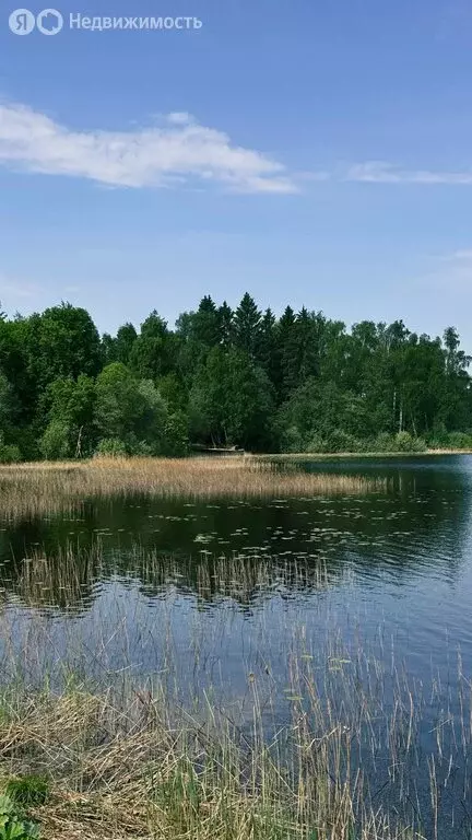 Участок в село Озерецкое, Садовая улица (9 м) - Фото 1