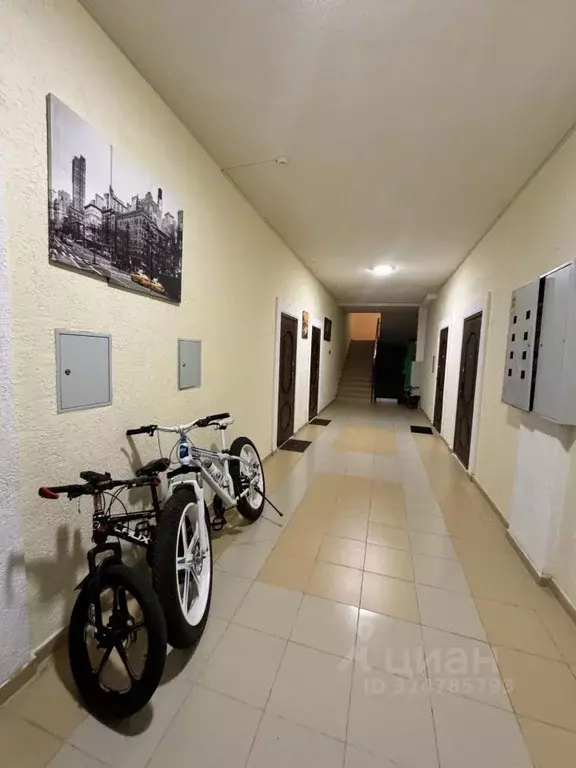 1-к кв. Краснодарский край, Сочи Агро СНТ, 10/2 (37.3 м) - Фото 1