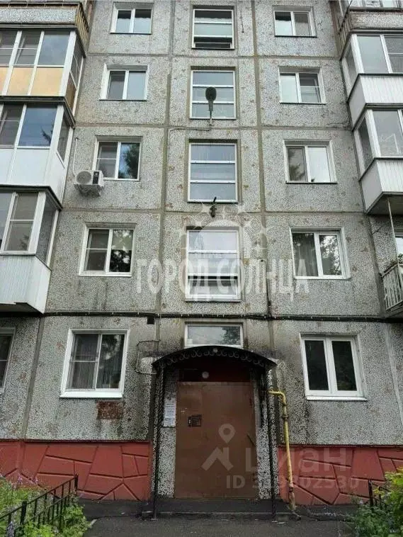 1-к кв. Омская область, Омск ул. Николая Кузнецова, 4 (31.0 м) - Фото 0