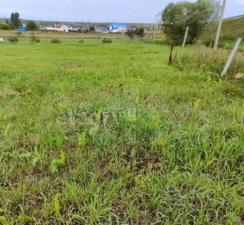 Участок в Новосибирская область, Новосибирский район, Морской ... - Фото 1