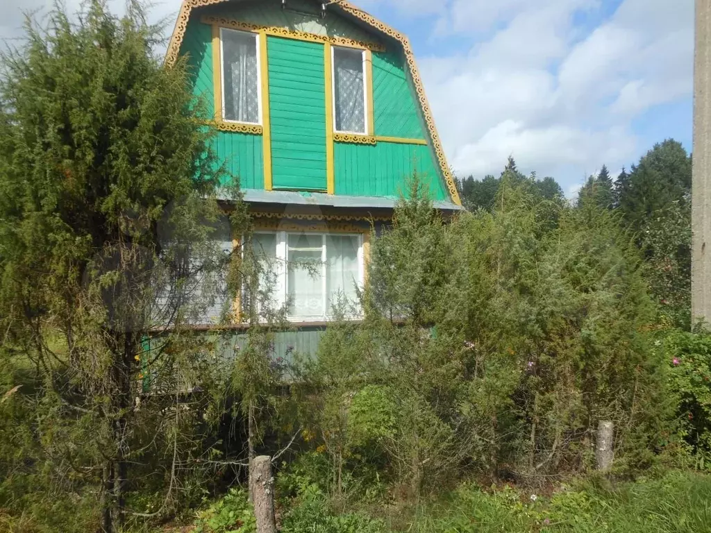 Купить Дачу Под Псковом