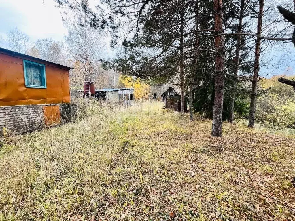 Участок в Костромская область, Красносельский район, Чапаевское с/пос, ... - Фото 1