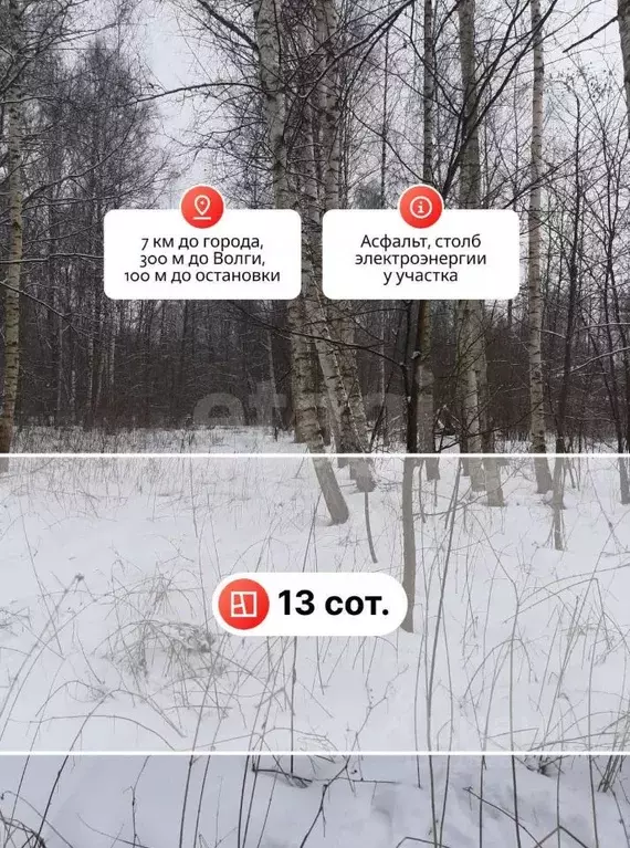 Участок в Костромская область, Красносельский район, Сидоровское ... - Фото 1