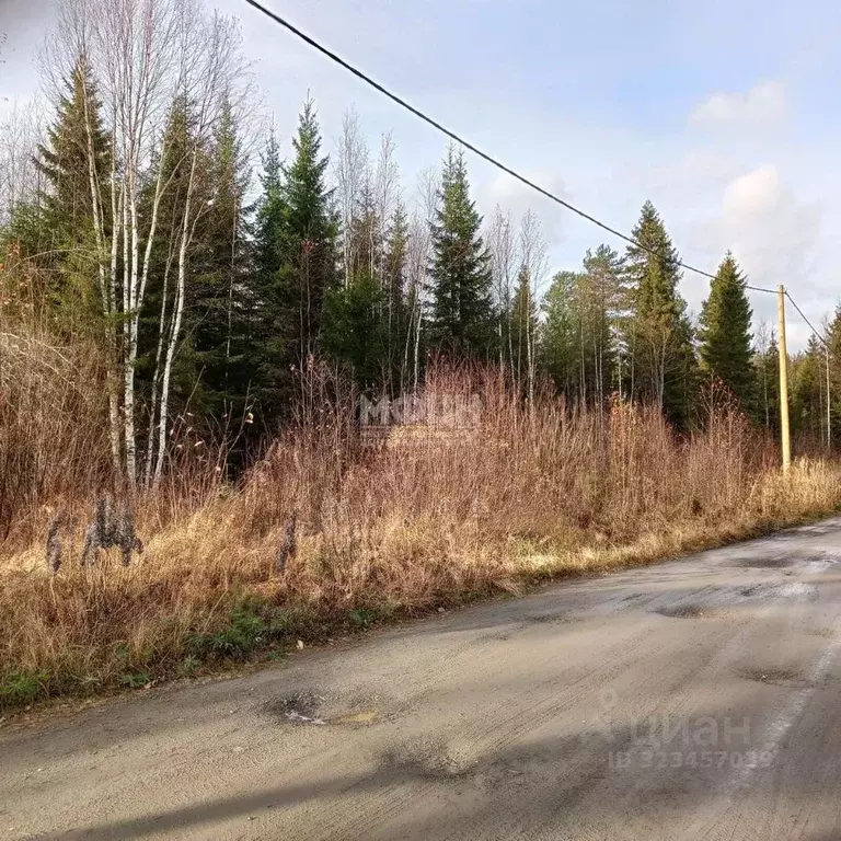 Участок в Карелия, Прионежский район, Деревянское с/пос, Малахит СНТ  ... - Фото 1