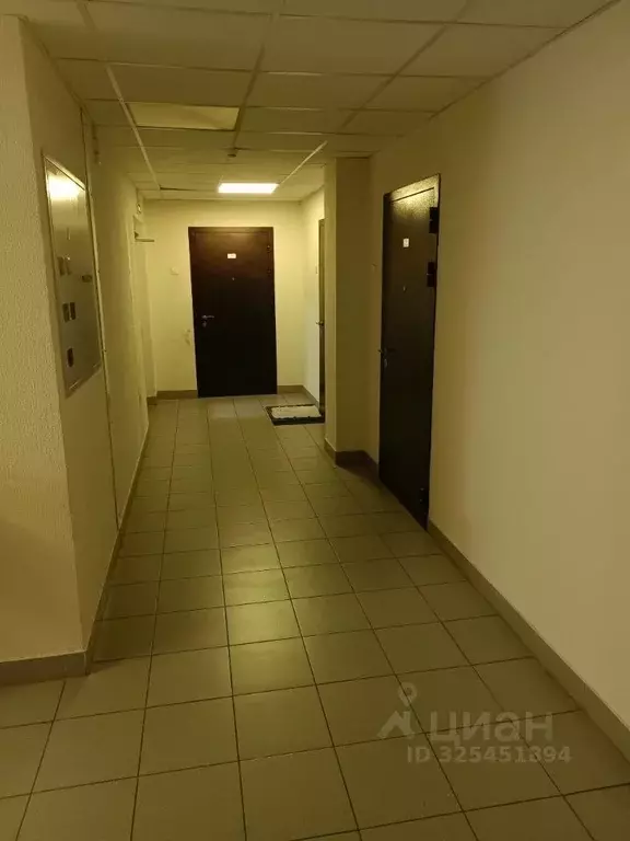 Студия Ленинградская область, Ломоносовский район, Виллозское ... - Фото 2