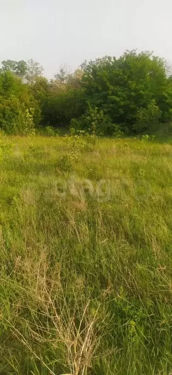 Участок 15 сот. (ИЖС) - Фото 0