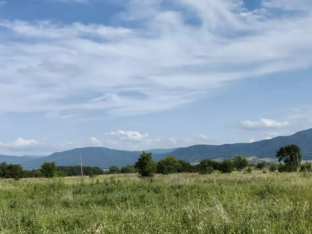 Участок в Алтайский край, Смоленский район, пос. Красный Городок  ... - Фото 0