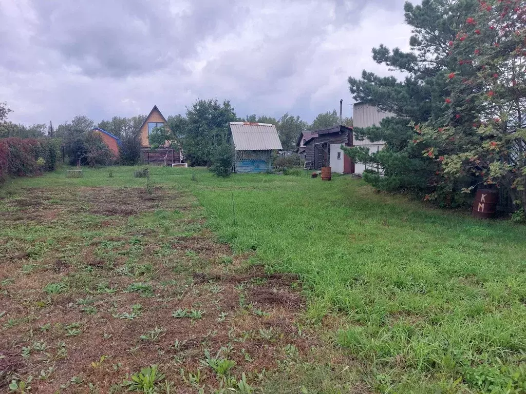 Участок в Алтайский край, Первомайский район, Энергетик СНТ 36 (9.5 ... - Фото 1