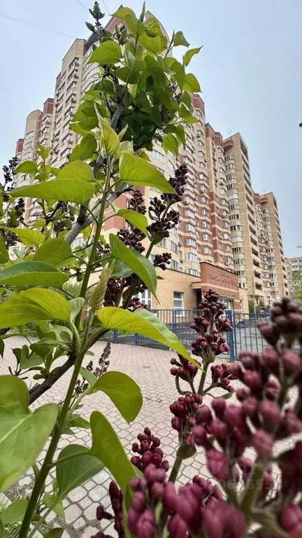 1-к кв. Московская область, Мытищи ул. Белобородова, 2к3 (37.2 м) - Фото 1