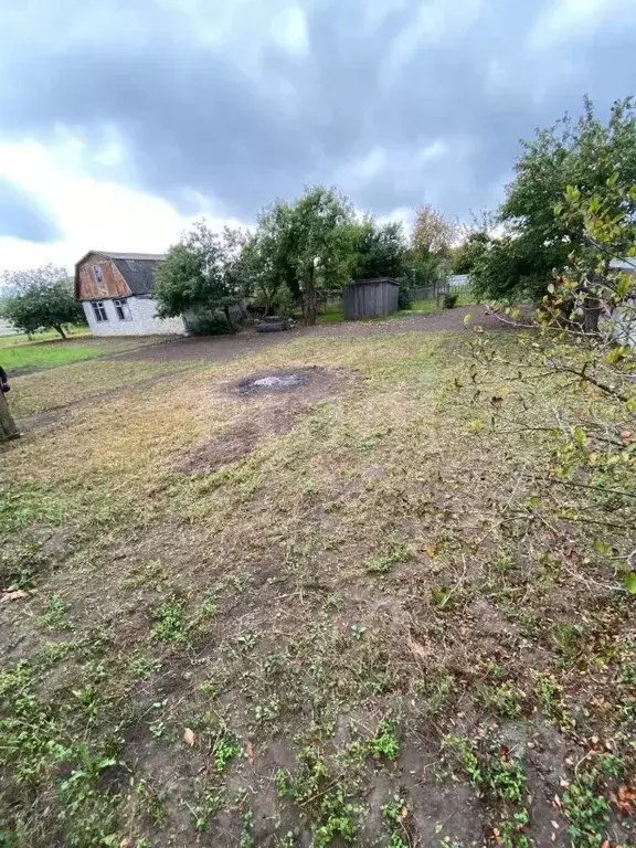 Участок в Брянская область, Брянский район, Снежское с/пос, с. ... - Фото 1