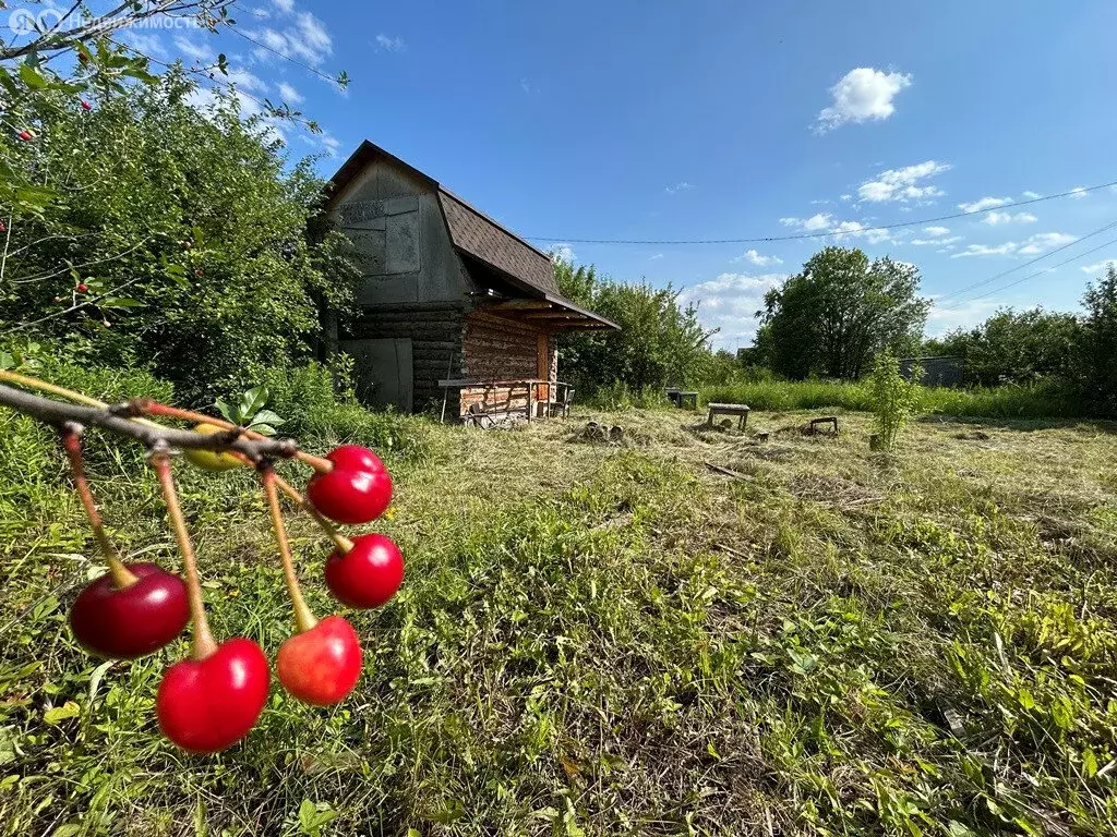 Участок в Кирилловский сельсовет, СТ Ромашка (17.5 м) - Фото 0