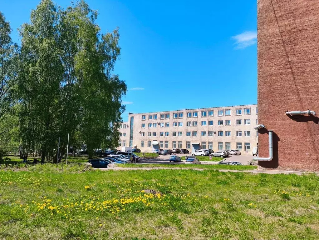 Помещение свободного назначения в Ленинградская область, Выборг ул. ... - Фото 2