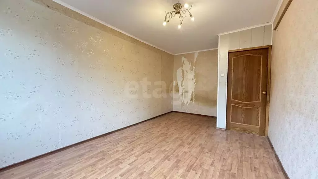 1-к кв. Ленинградская область, Сертолово Всеволожский район, Черная ... - Фото 1