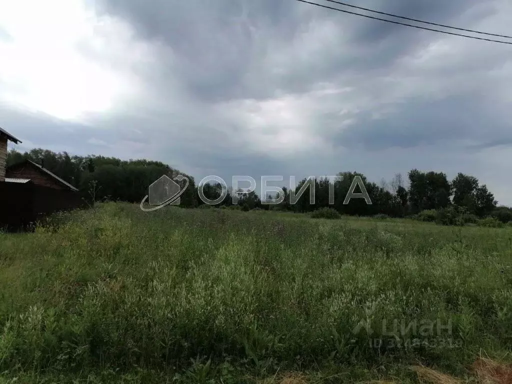 Участок в Свердловская область, Слободо-Туринский район, ... - Фото 2