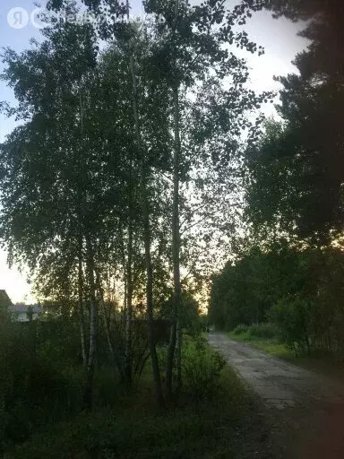 Участок в Электроугли, микрорайон Светлый (6 м) - Фото 1