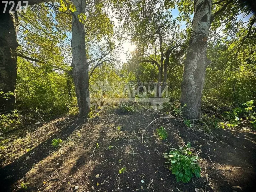 Участок в Краснодарский край, Курганинское городское поселение, ... - Фото 0