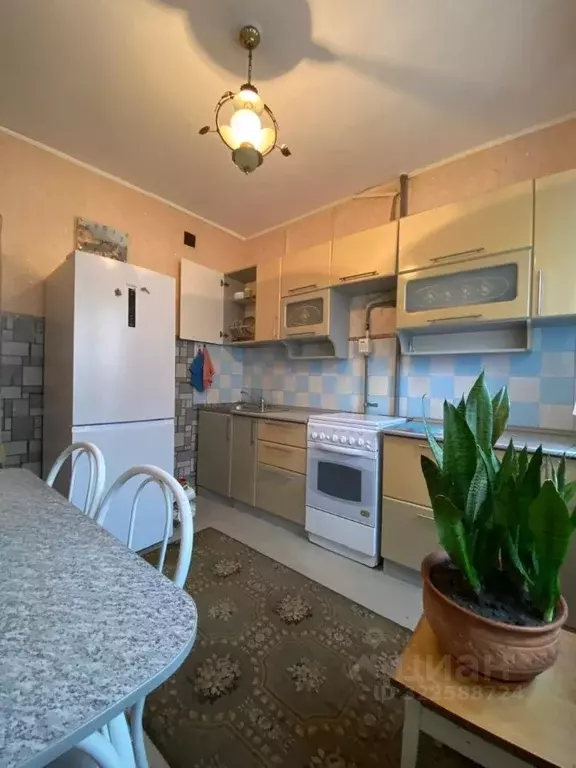 2-к кв. Омская область, Омск ул. 3-я Молодежная, 63 (51.4 м) - Фото 1