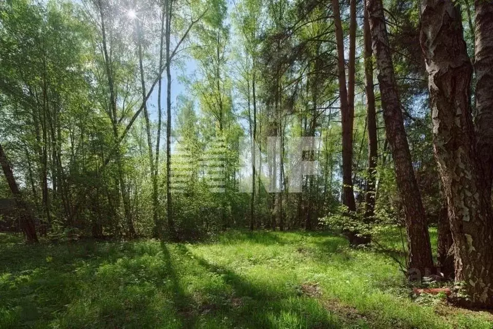 Участок в Московская область, Одинцовский городской округ, д. Бузаево, ... - Фото 1