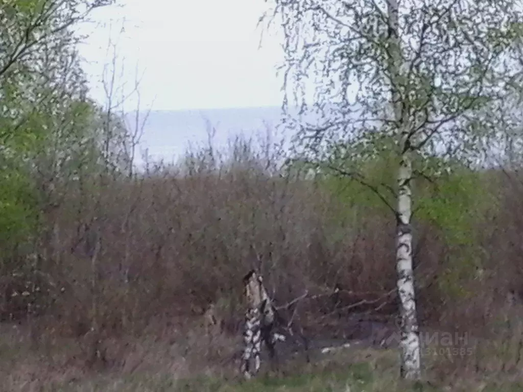 Участок в Новгородская область, Новгородский район, Ракомское с/пос, ... - Фото 0