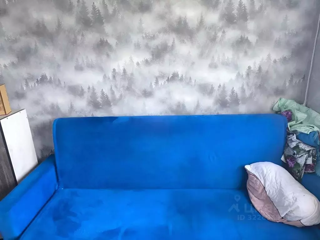 Комната Самарская область, Тольятти ул. Победы, 13 (18.0 м) - Фото 2