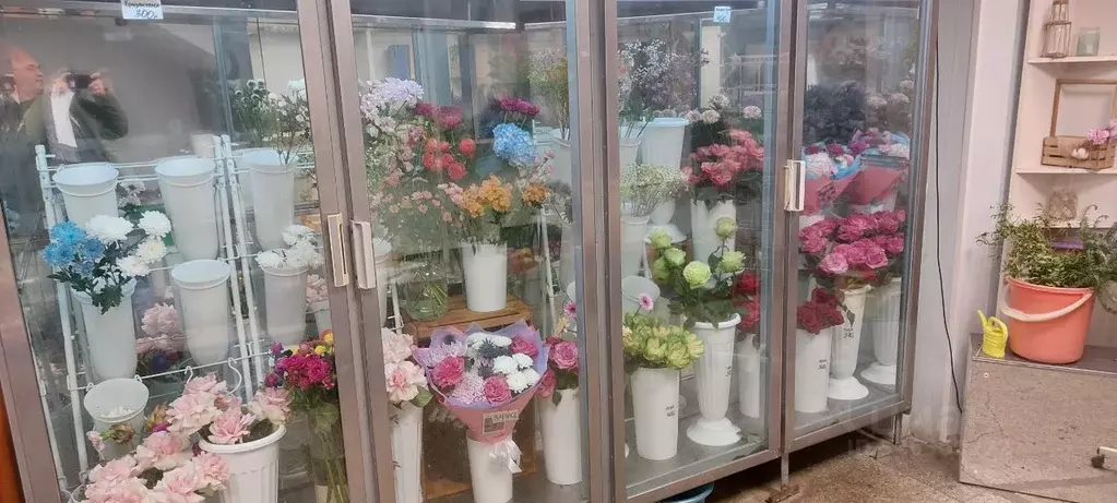 Помещение свободного назначения в Санкт-Петербург, Санкт-Петербург, ... - Фото 1