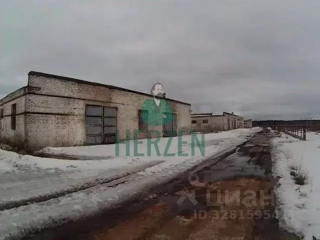 Производственное помещение в Москва д. Кузнецово,  (12000 м) - Фото 1