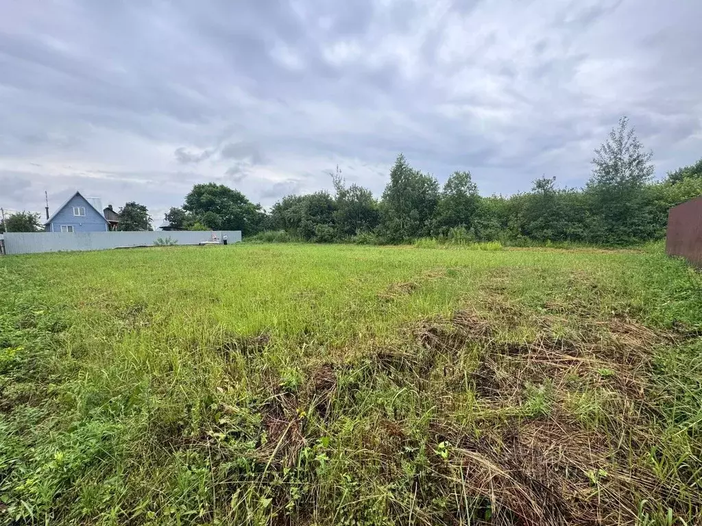 Участок в Московская область, Щелково городской округ, д. Еремино ул. ... - Фото 1