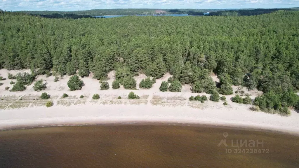Участок в Карелия, Лахденпохский муниципальный округ, пос. Вятиккя  ... - Фото 1