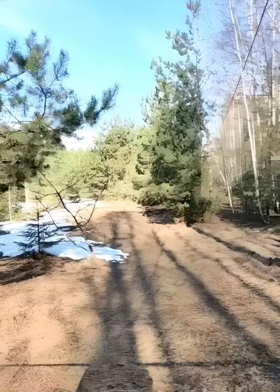 Участок в Тверская область, Кимрский муниципальный округ, д. Кочнево  ... - Фото 1