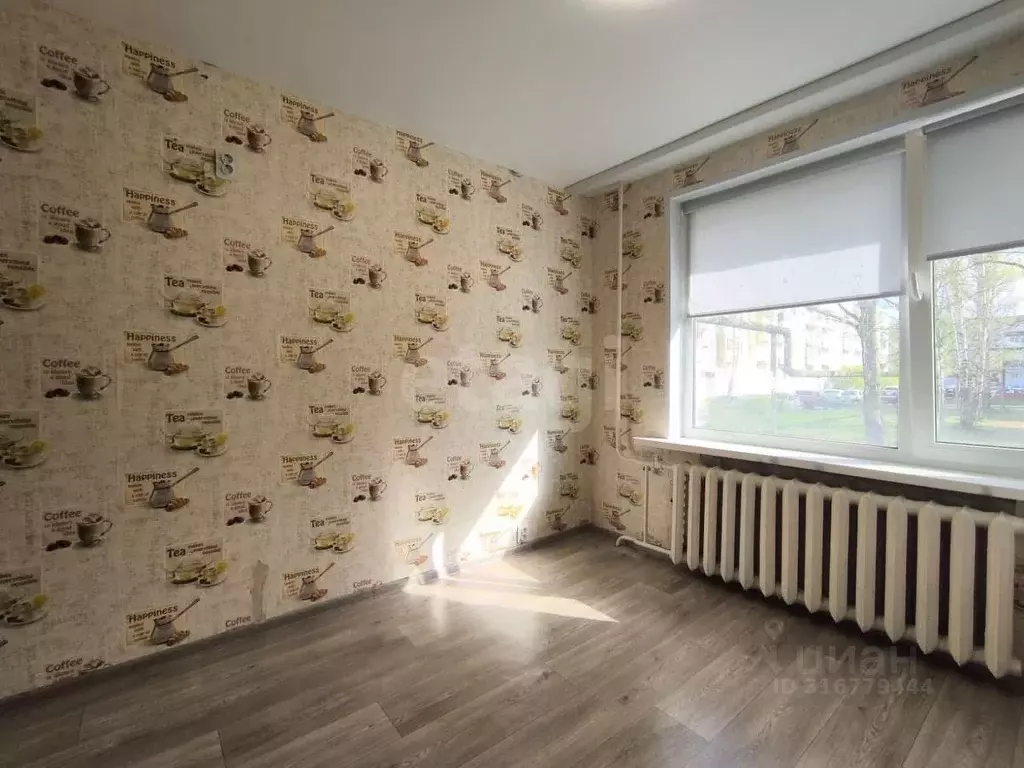 1-к кв. Псковская область, Остров Авиационная ул., 9 (30.8 м) - Фото 1